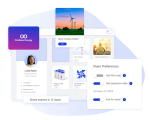 Digital Sales Room's custom domain and files in the DSR