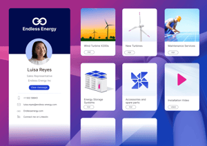 Branded digital sales room